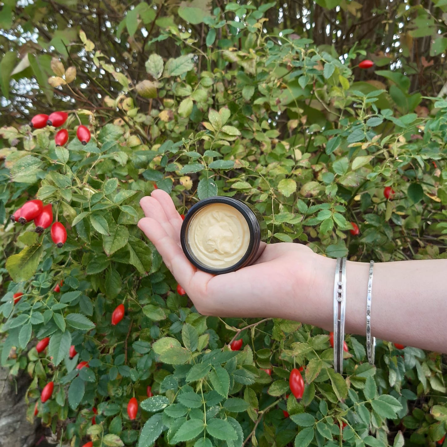 Hand holding a jar of face cream in front of a bush Rosehip bus with red berries