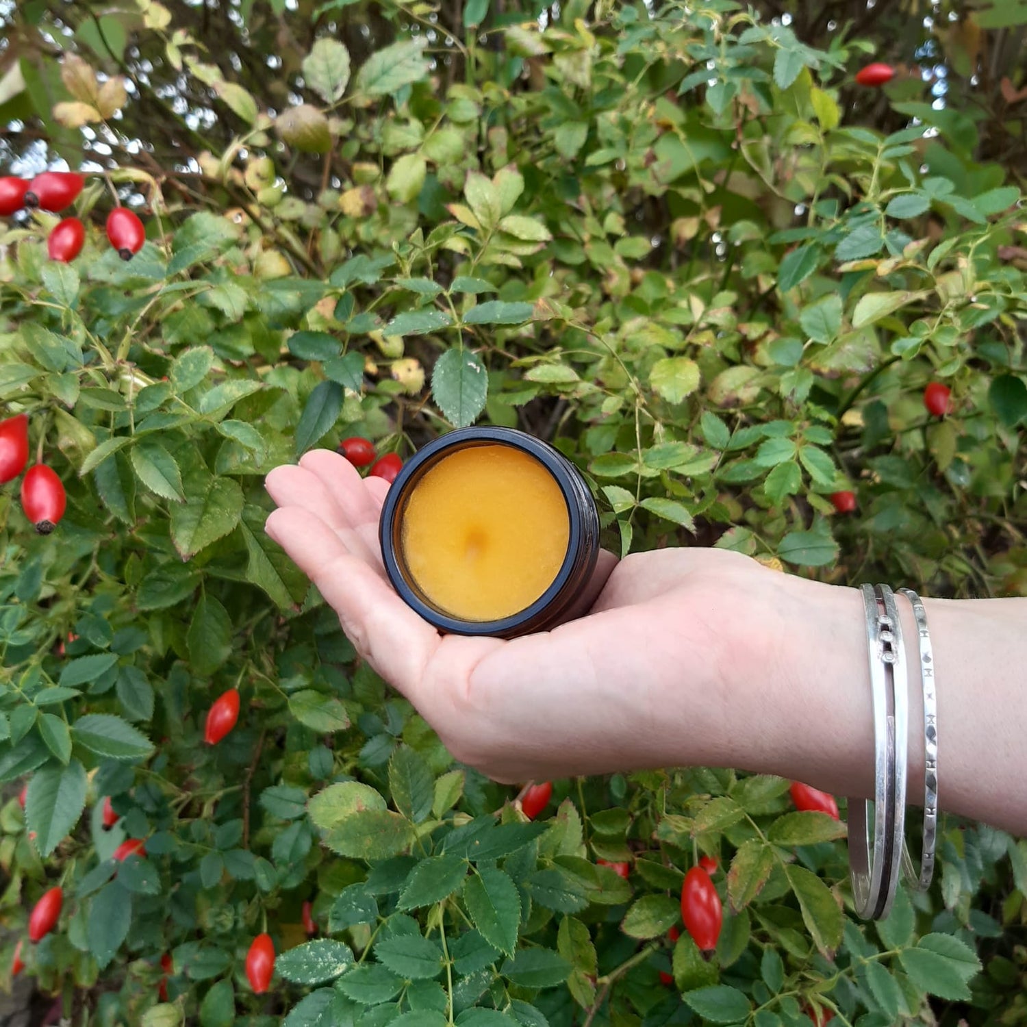 Hand holding a jar of Hyd Botanics cleansing balm with a rosehip bush background